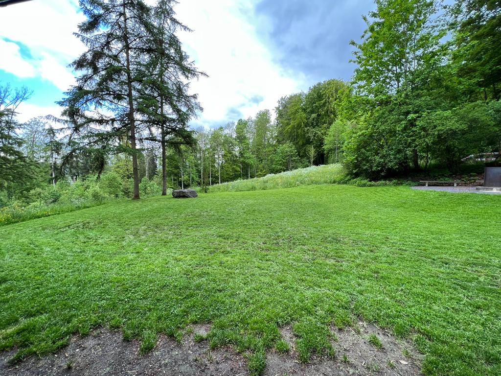 da6d1e19-d87a-47ff-9657-20571c877074