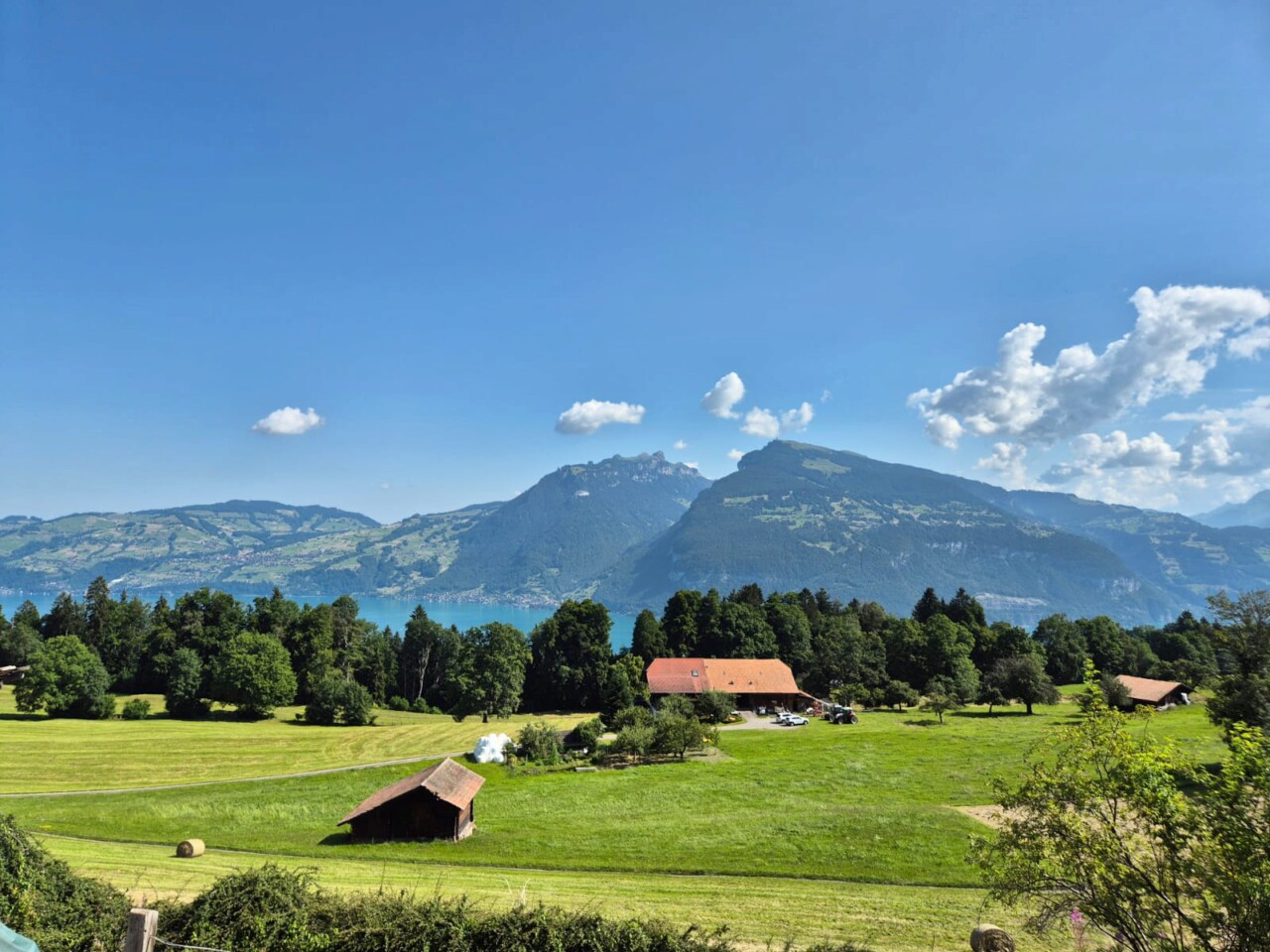 123847c6-d702-4b95-8767-d132a7b5d06b