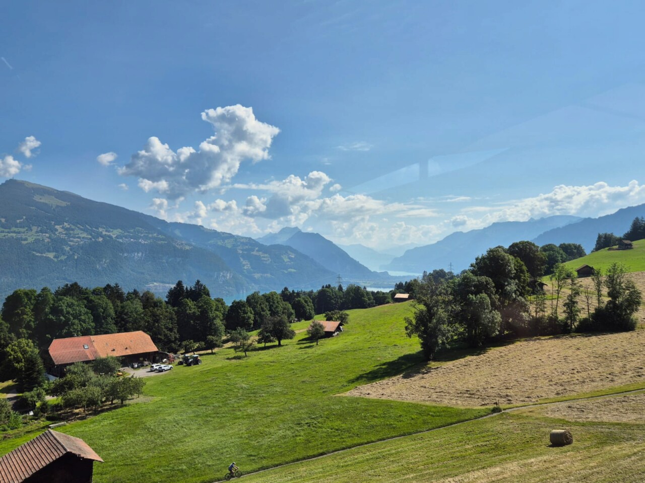 5475650f-ffaa-4a15-96f3-9ad89626279f