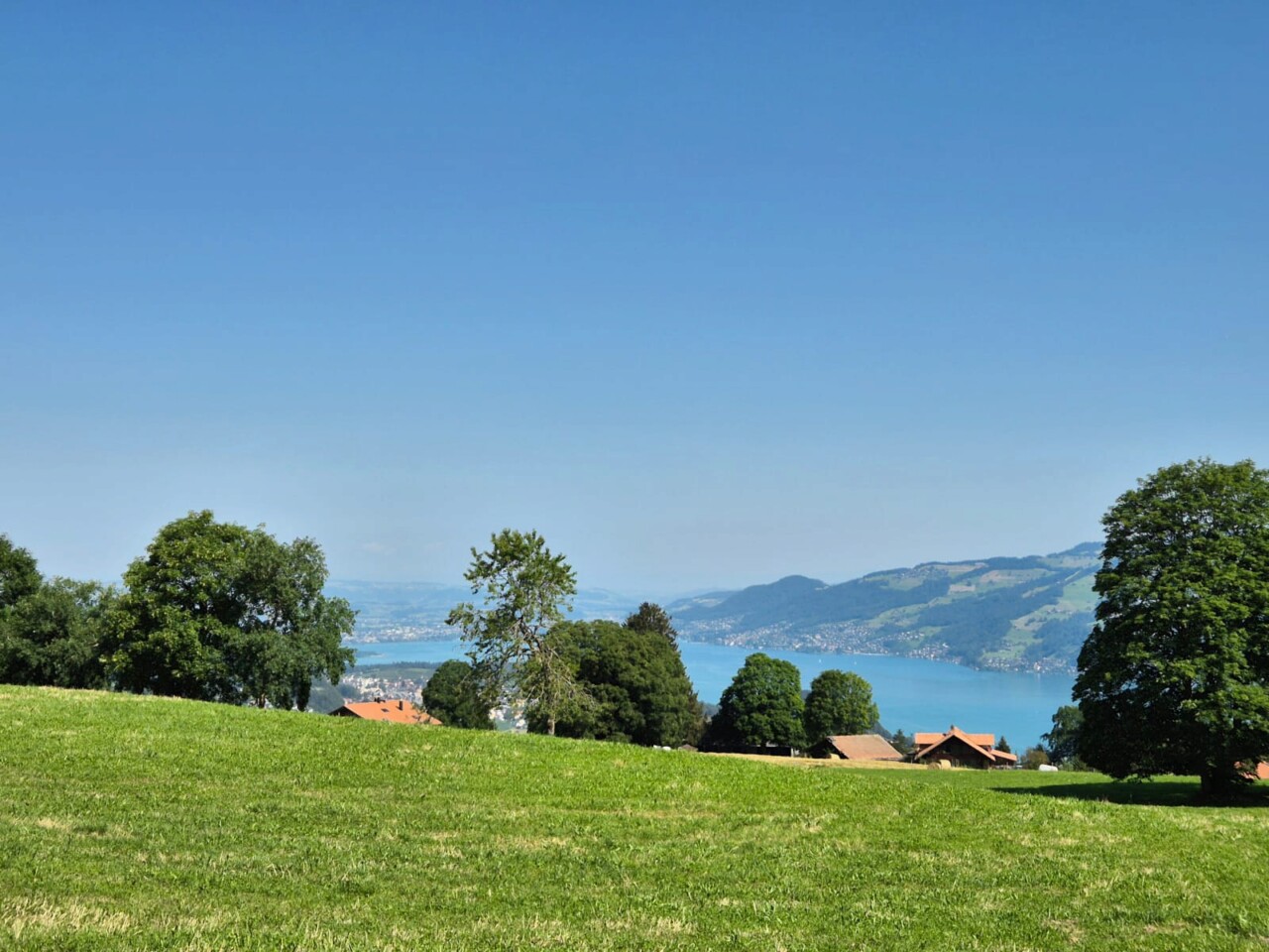 9e4299fd-a2bc-4521-8868-114a9f0ac110