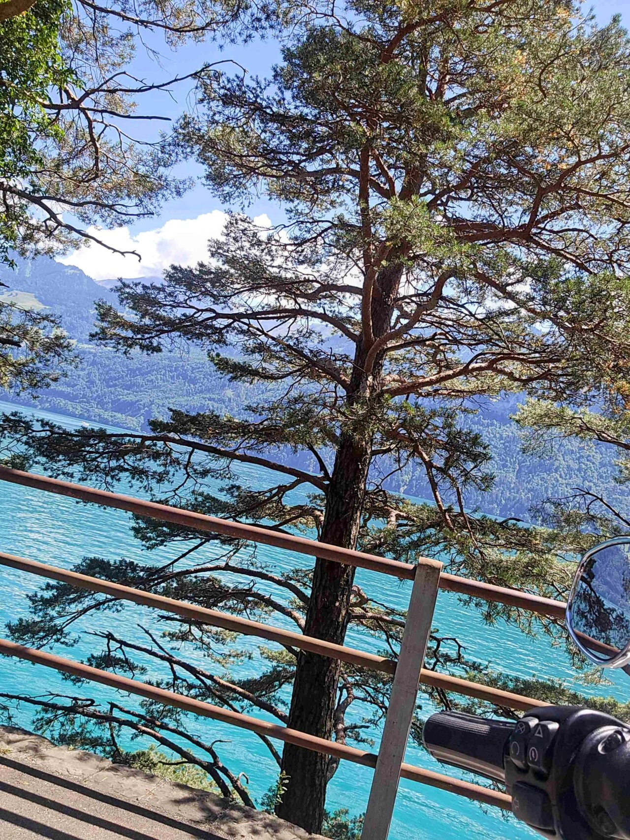 35cf8163-7565-4e18-b7a9-2f199a68d4c8~2 Donja Haydu