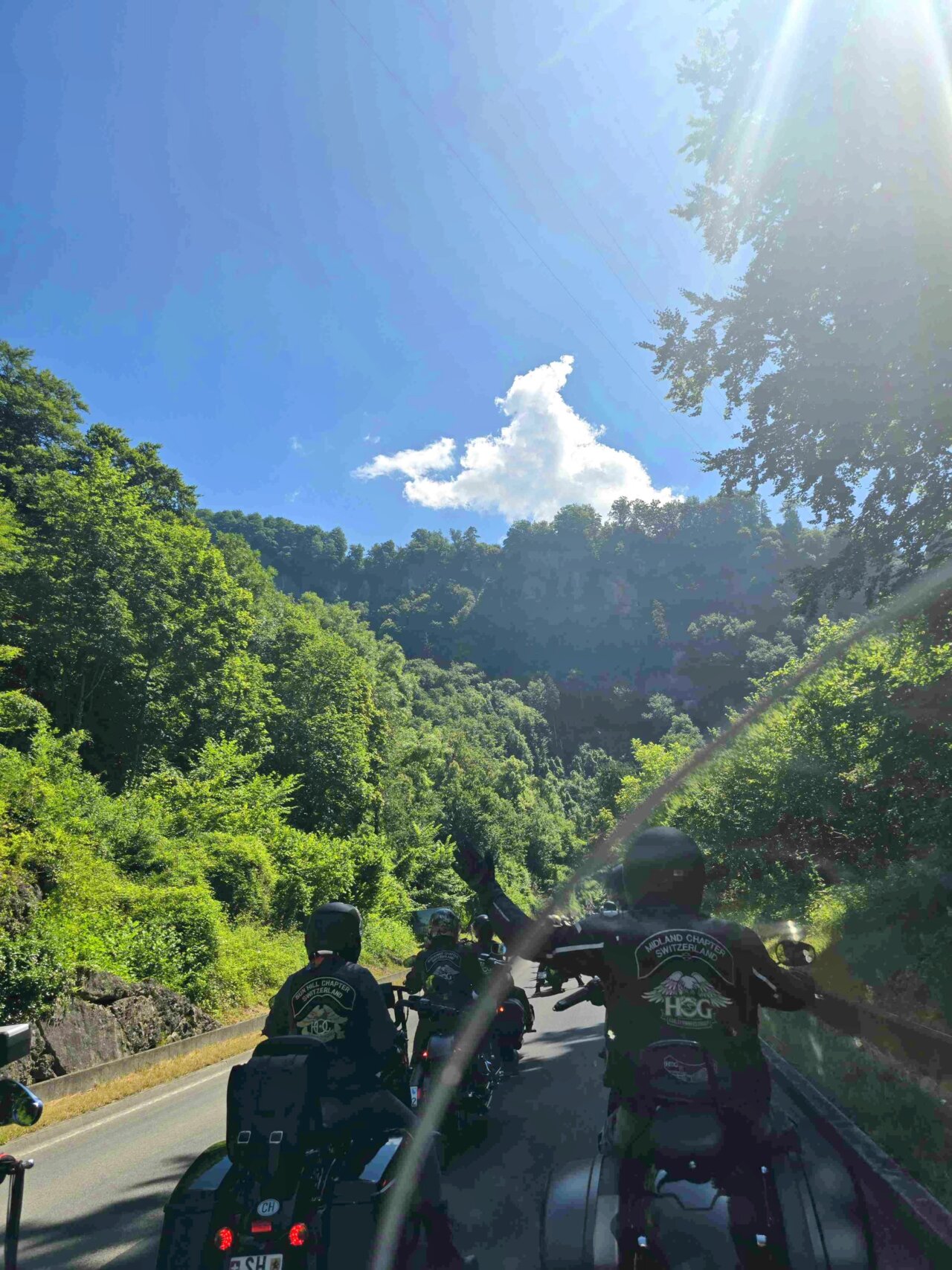 51301143-f18b-4df7-a97f-83301fe07c4f~2 Donja Haydu