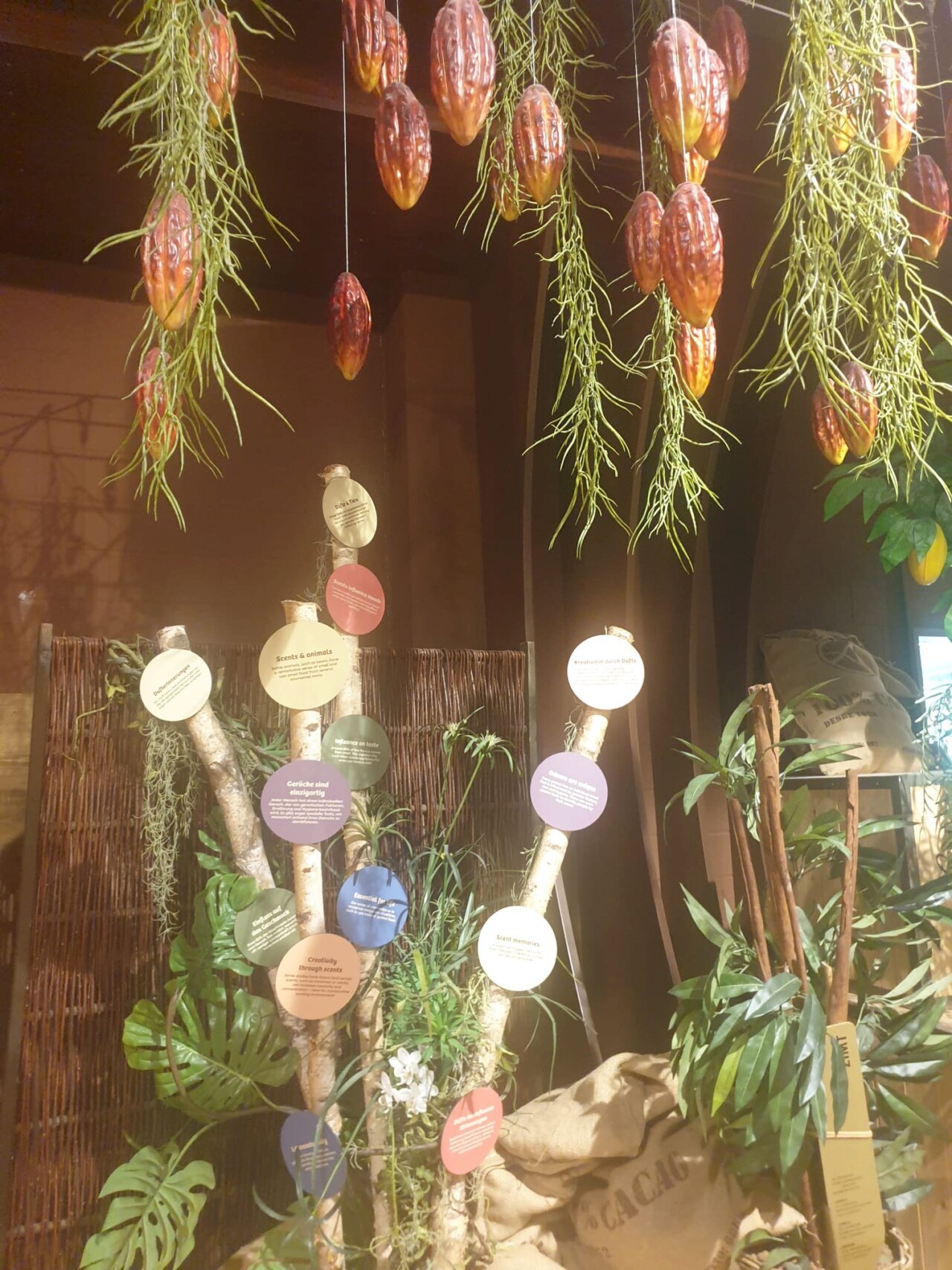 908f88be-0b34-44e6-9b2a-52eff6a60e57 Mary