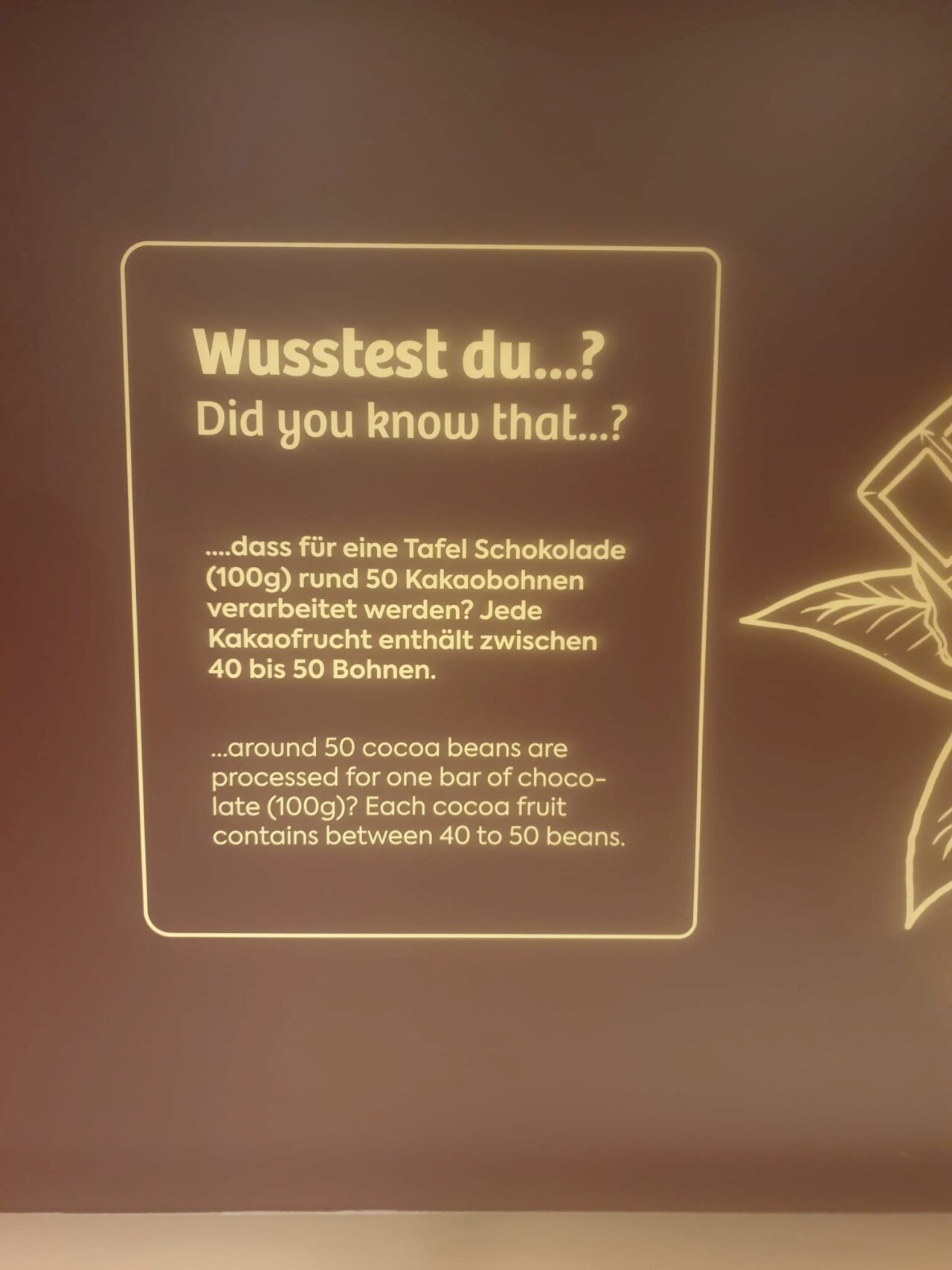 96da1cac-0d32-48b3-a6dc-04ab2e994aac Mary