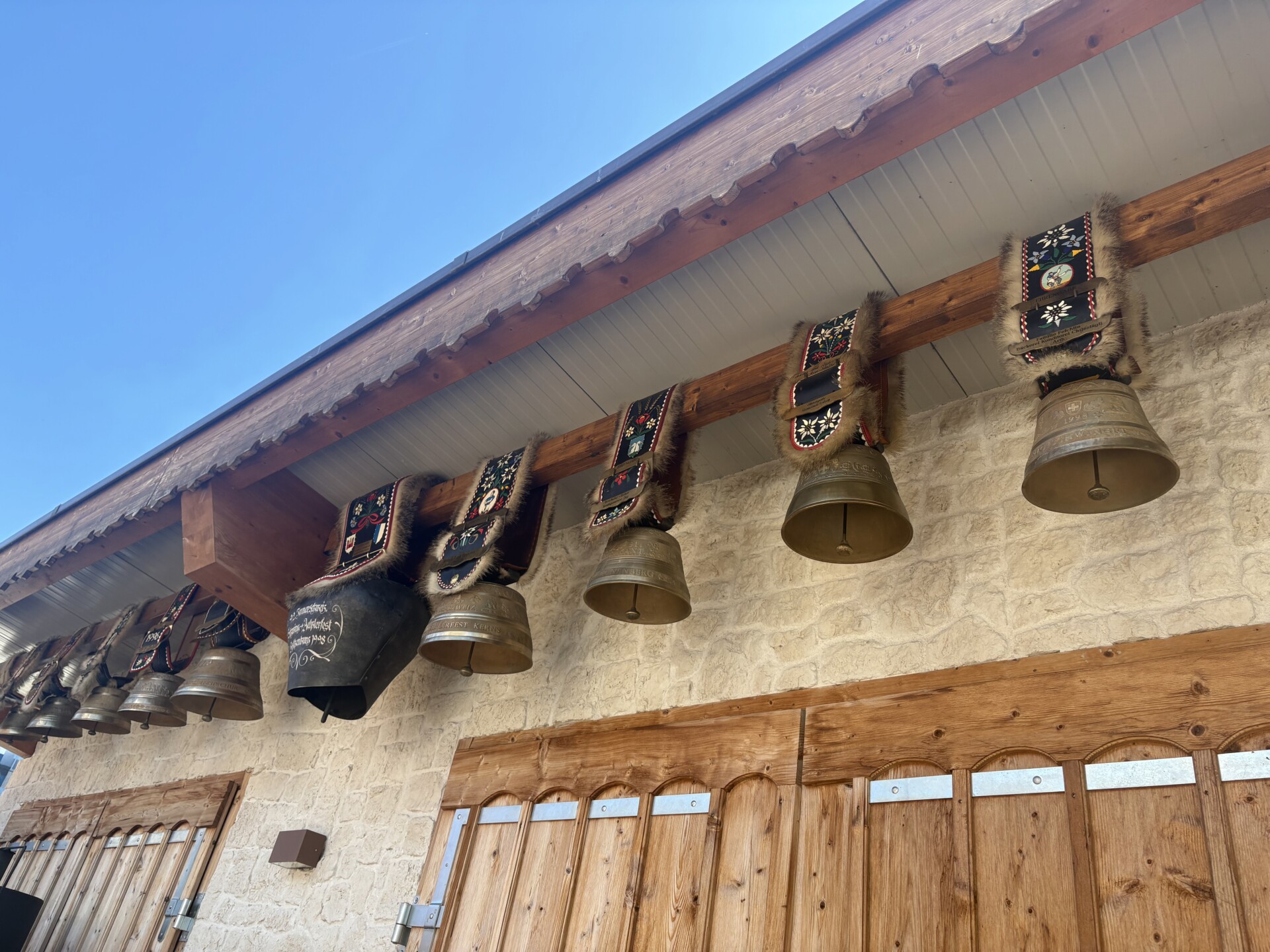 IMG_8462 Andrea (Sissy) Mayer