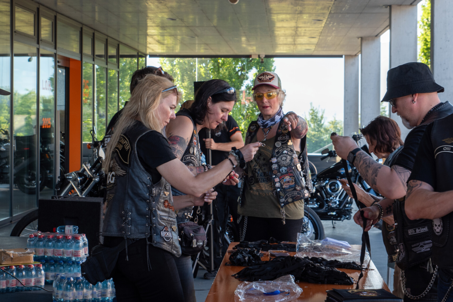 LoH Interchapter 2025-100