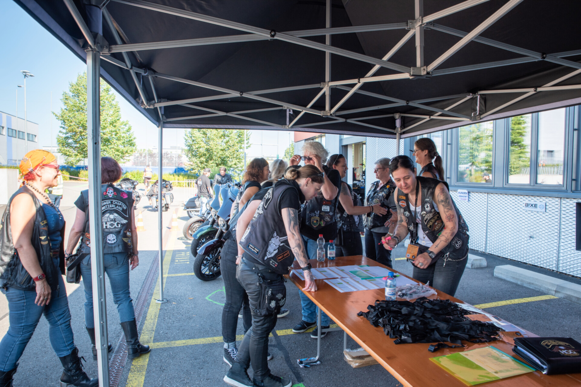 LoH Interchapter 2025-118