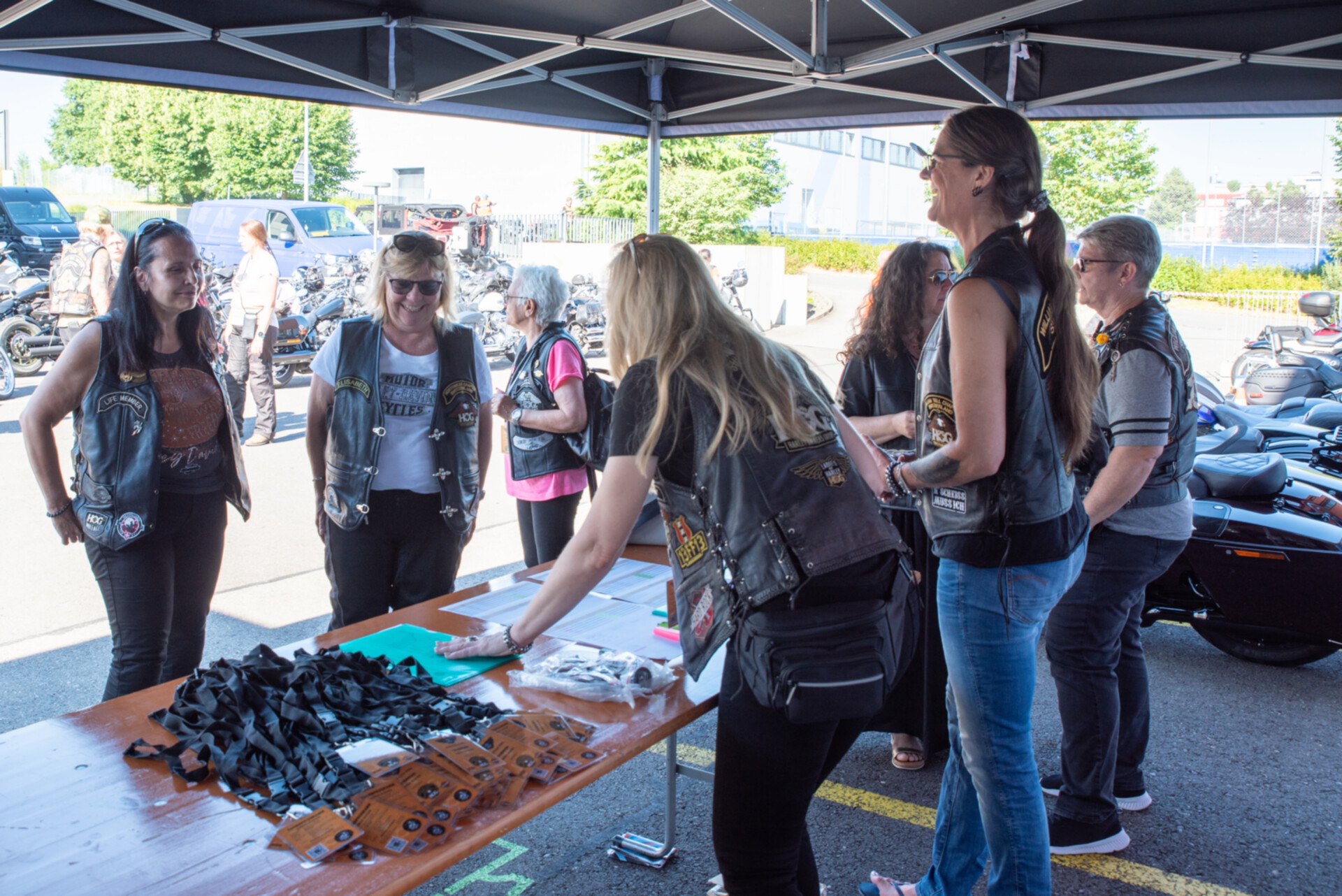 LoH Interchapter 2025-121