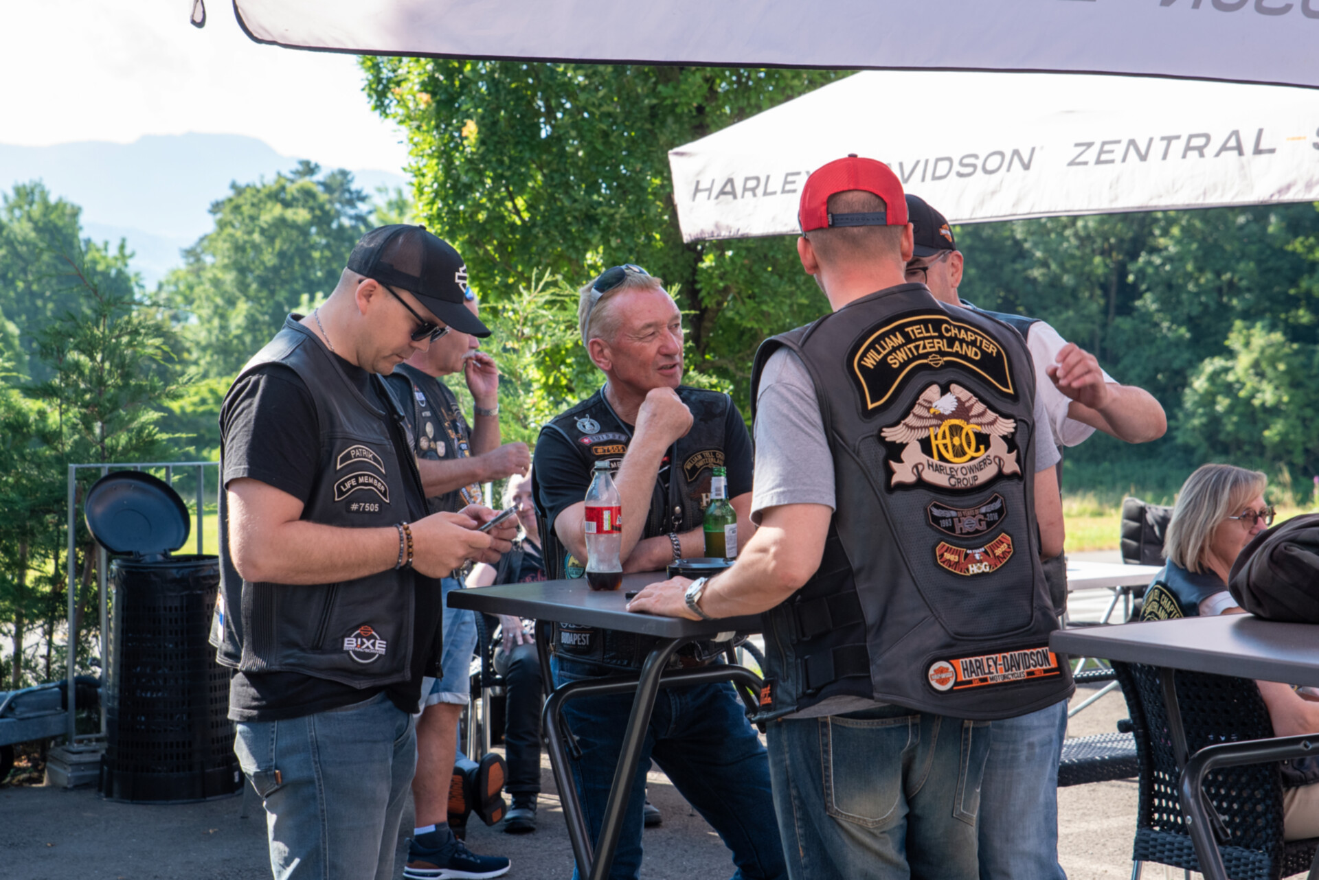 LoH Interchapter 2025-125