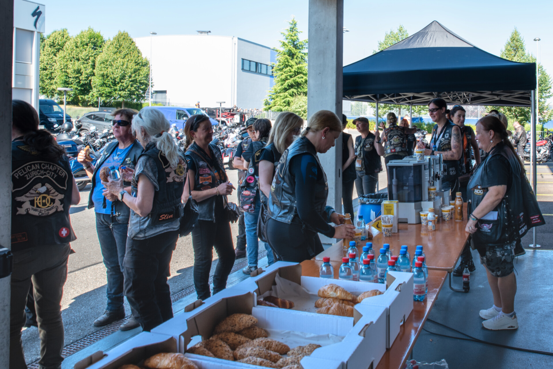 LoH Interchapter 2025-133