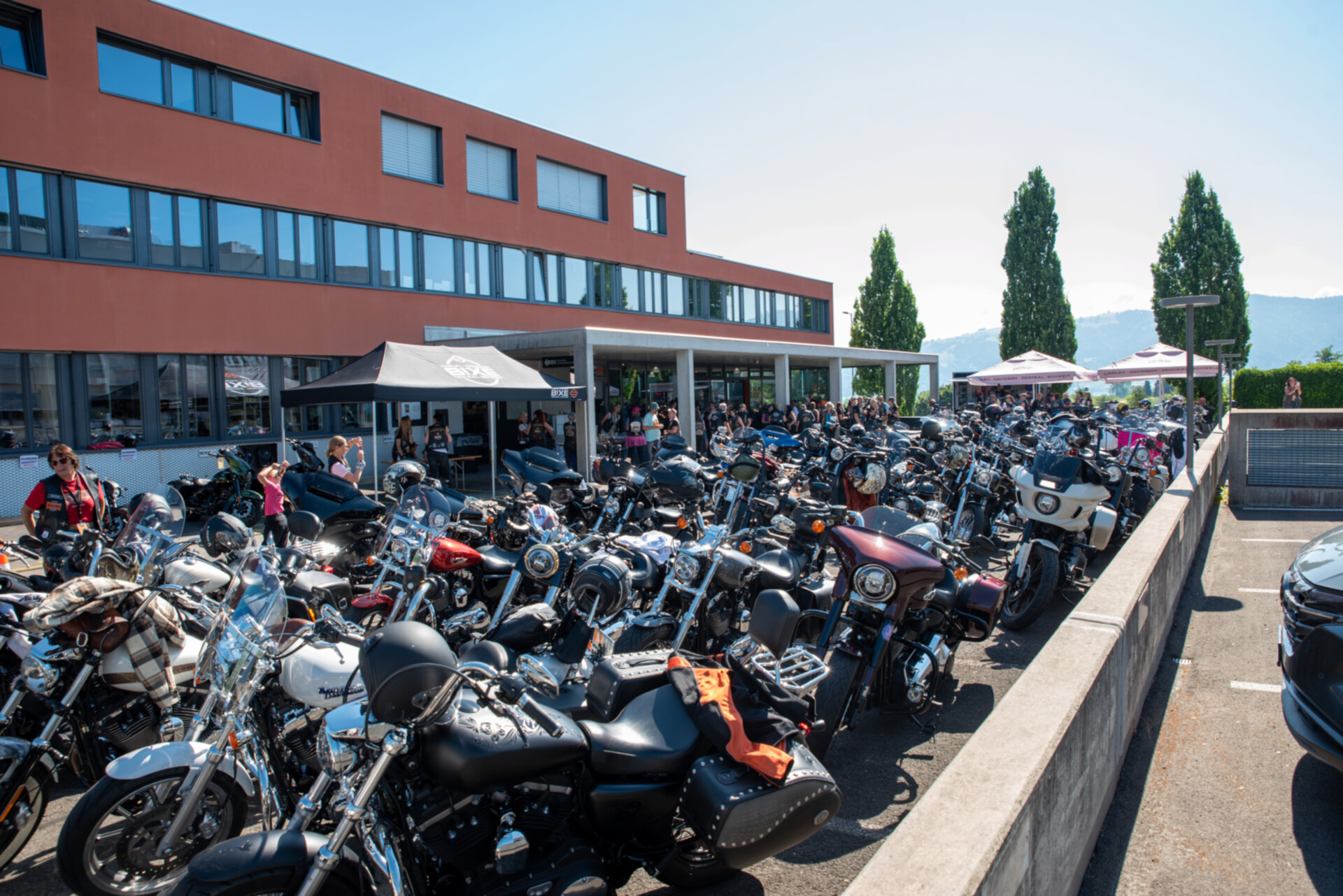 LoH Interchapter 2025-143