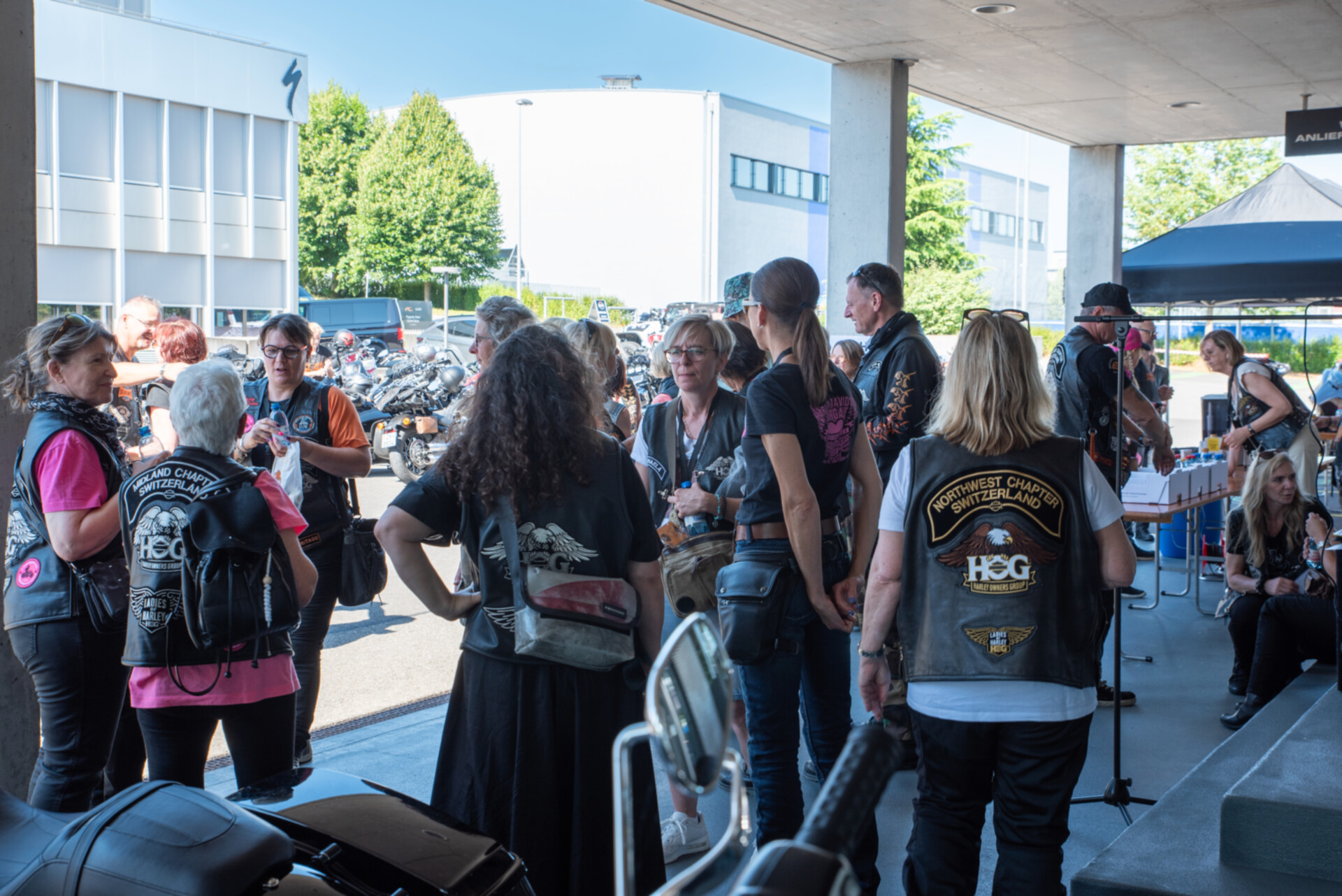 LoH Interchapter 2025-145