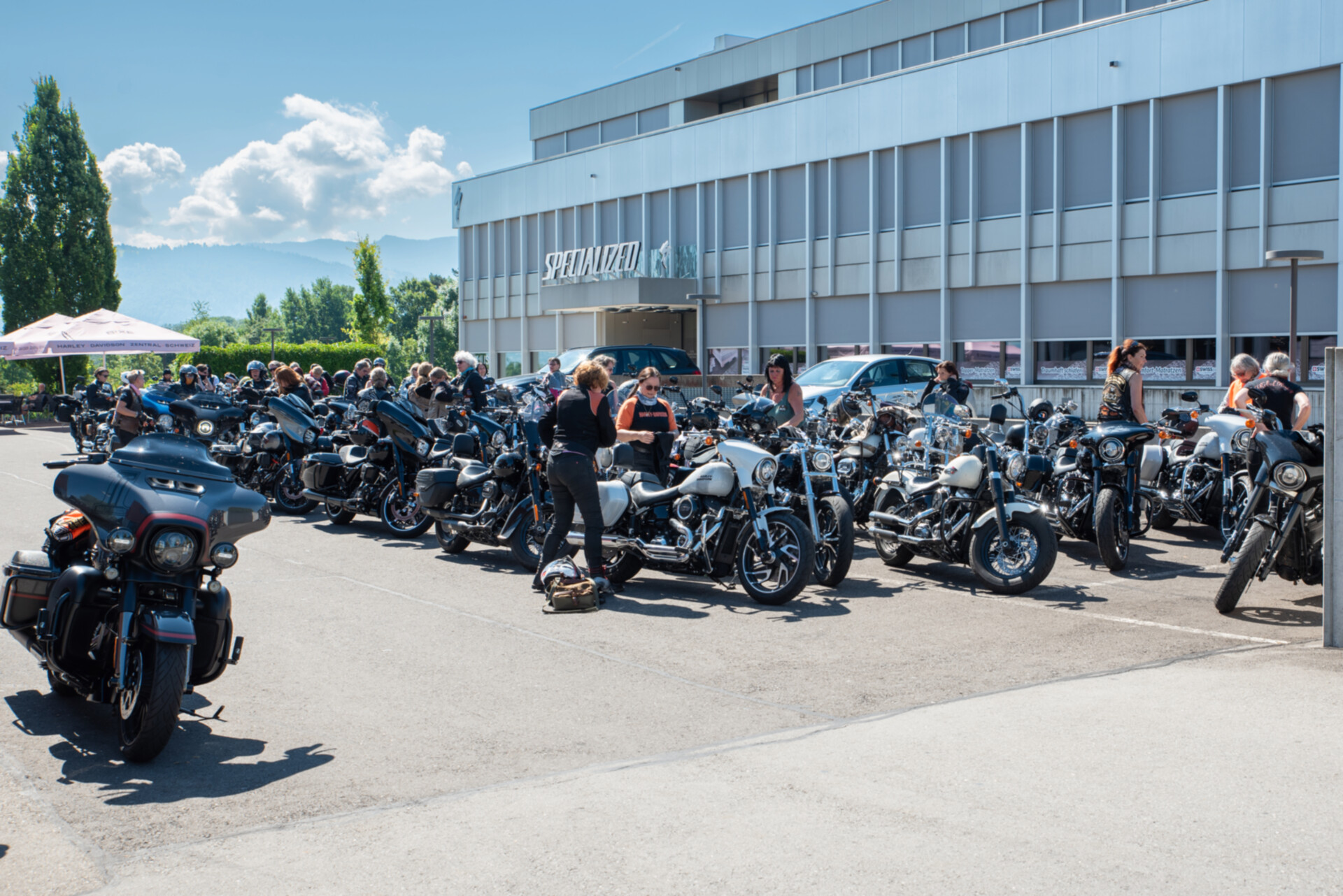 LoH Interchapter 2025-152